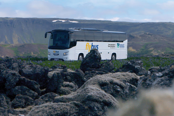 flybus