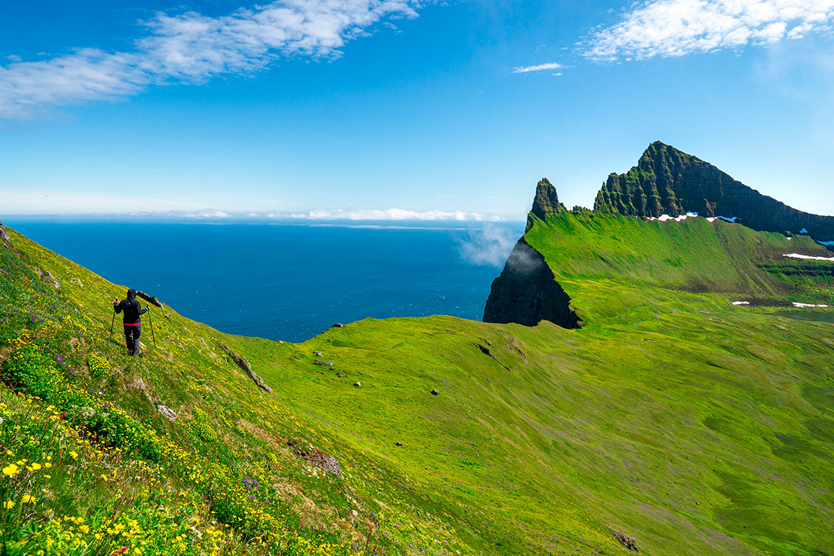 Hornstrandir Nature Reserve