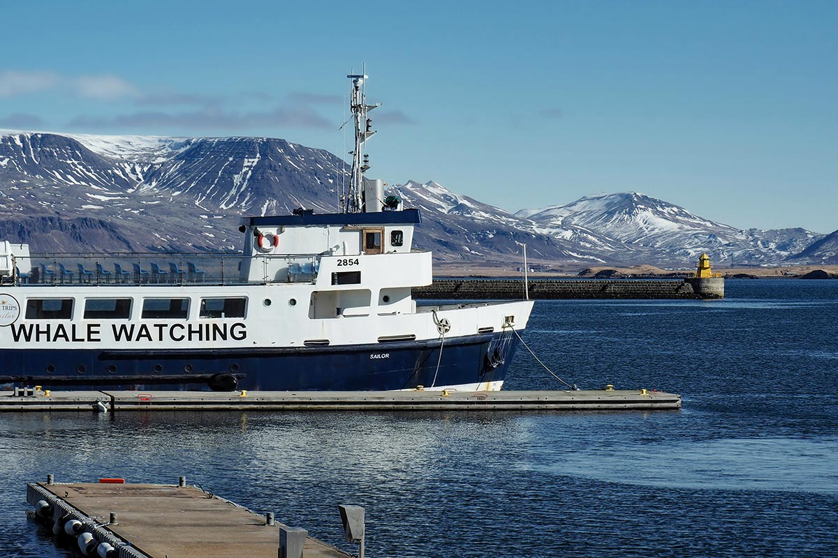 Il Porto Vecchio a Reykjavik